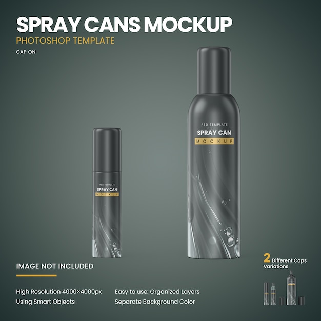 Download Spray Can Images Free Vectors Stock Photos Psd PSD Mockup Templates