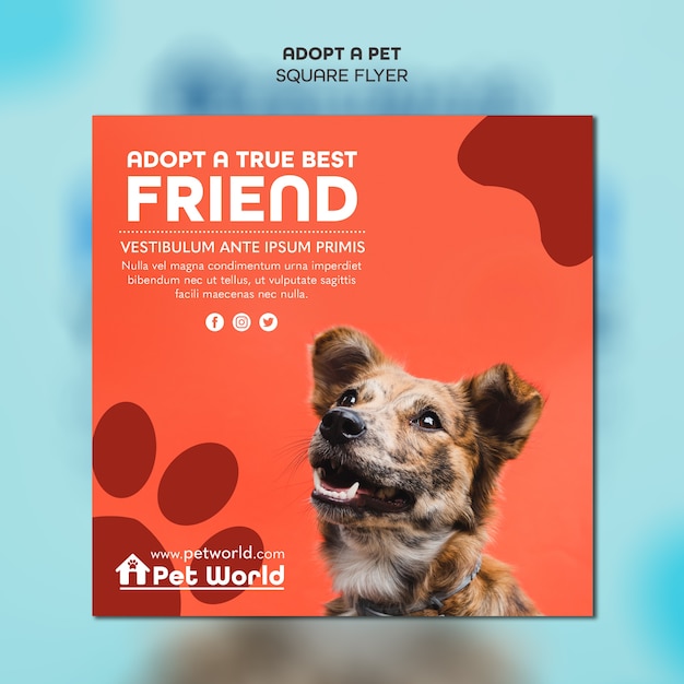 Squared flyer template for pet adoption with dof | Free PSD File