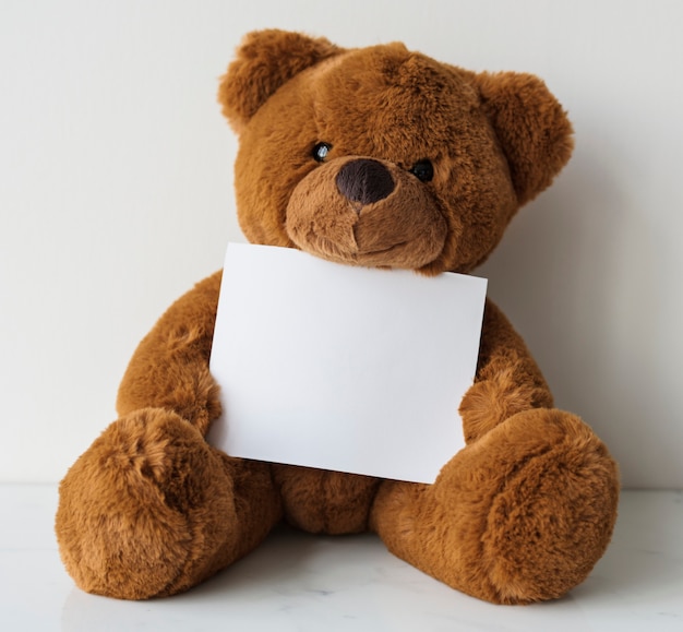 Teddy holding paper | Free PSD File