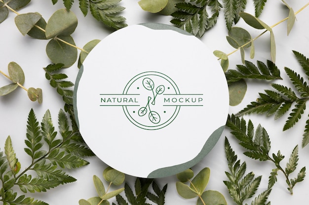 Download Top view natural mock-up with leaves | Free PSD File