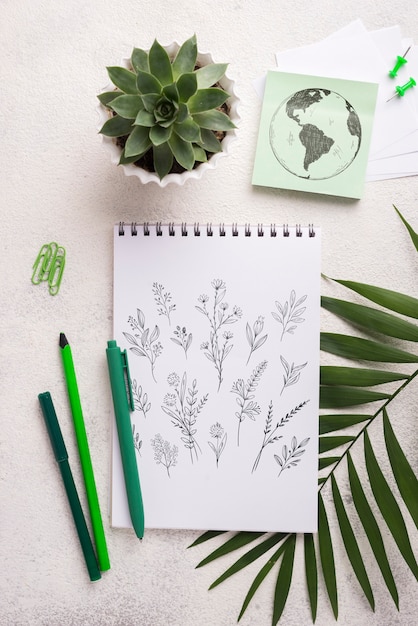 Download Free Psd Top View Notebook Mock Up And Stationery Near Succulent Plant