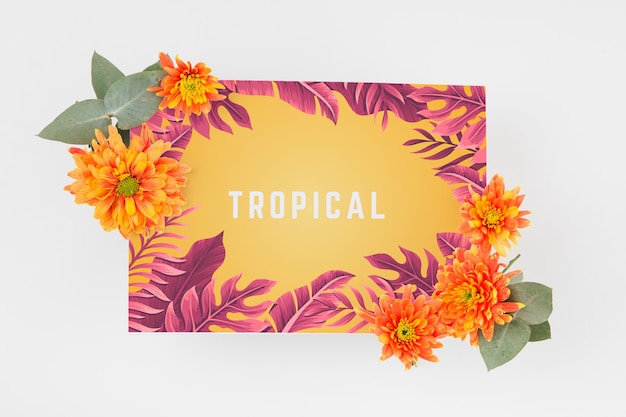 Tropical cover mockup | Free PSD File