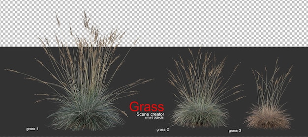 Premium PSD | Various types of grass