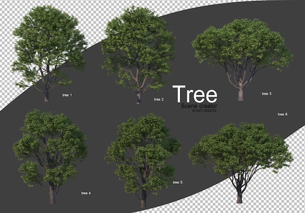 Premium PSD | Various types of trees rendering isolated