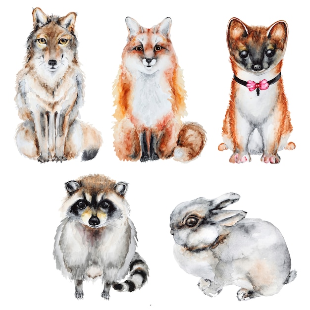 Premium PSD | Watercolor fur wild animals