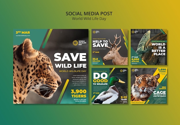 Download Free PSD | World wild life day instagram posts template