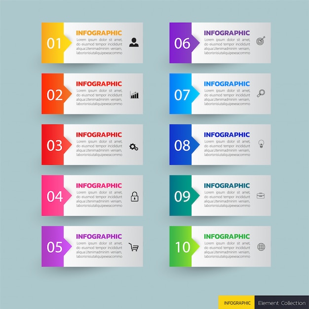 10 steps infographic template Vector Premium Download
