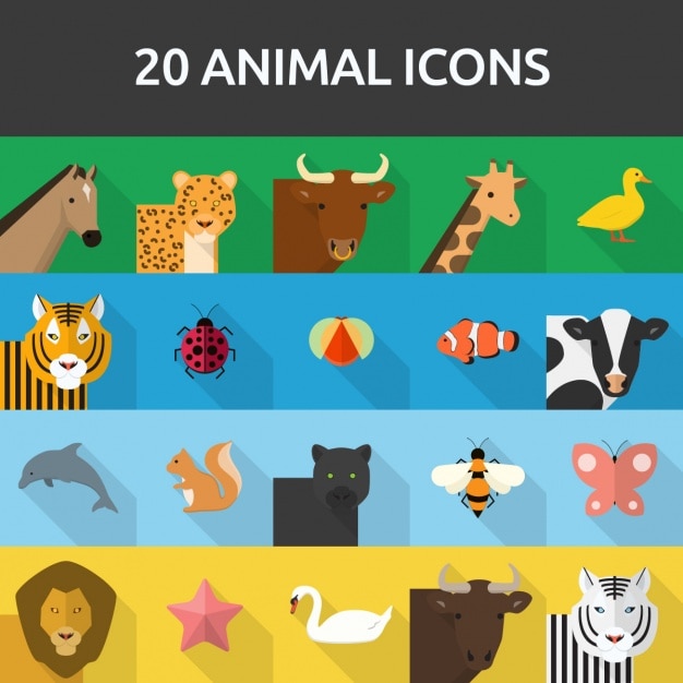 20 animal icons