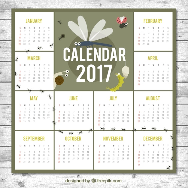2017 calendar with different insects