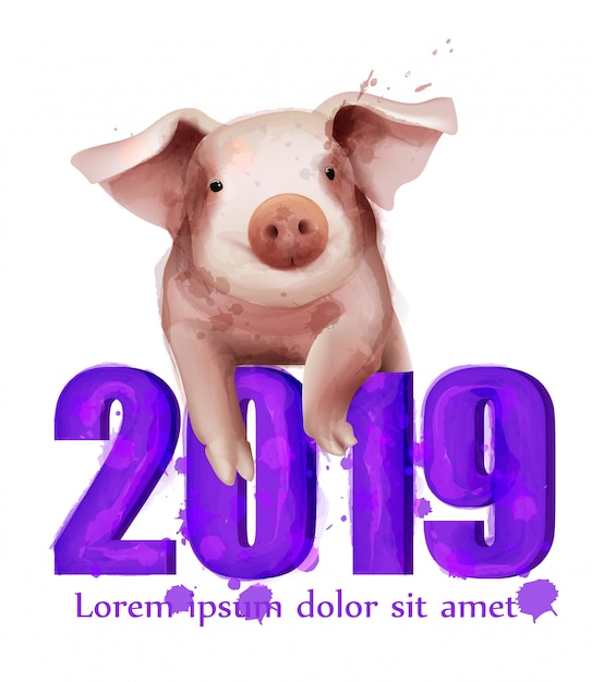 Download 2019 watercolor pig year card | Premium Vector