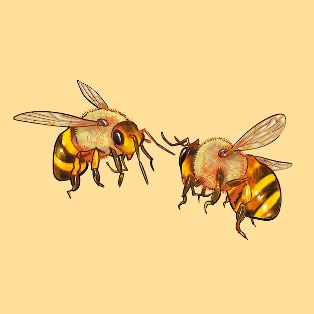 かわいい2つのハチのイラスト プレミアムベクター