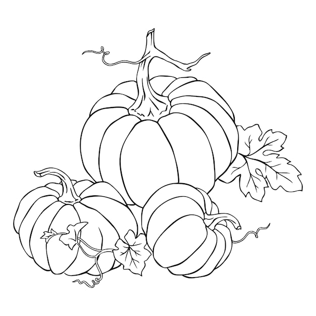 Premium Vector | 3 pumpkins halloween coloring page