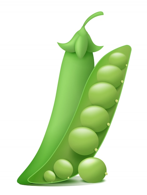 Premium Vector | 3d green peas cartoon illustration isolated