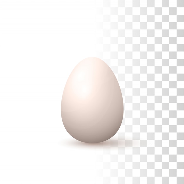 Download 3d natural egg | Premium Vector