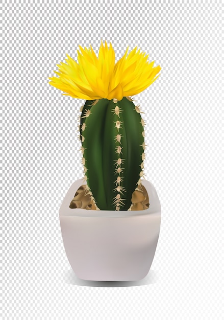 Download 3d realistic cactus with yellow flower. | Premium Vector