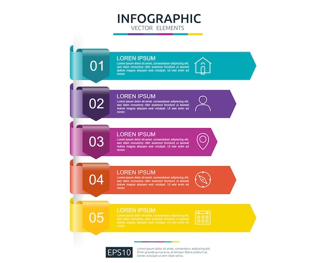 Premium Vector | 5 steps infographic