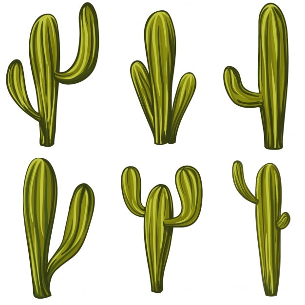 Download 6 cactus | Free Vector