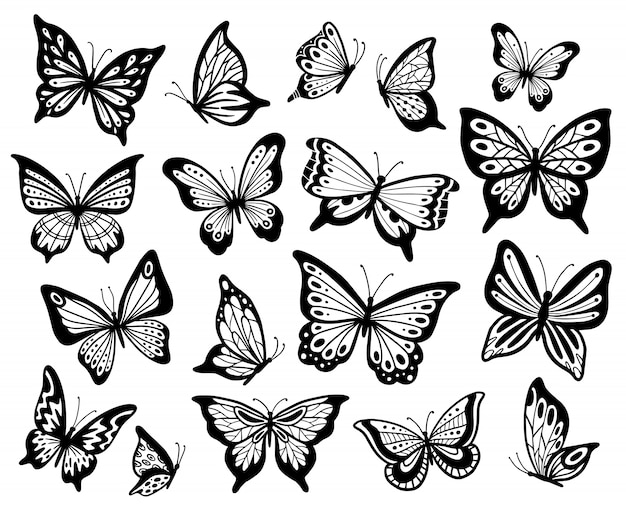 蝶を描きます ステンシル蝶 の翼と空飛ぶ昆虫分離イラストセット プレミアムベクター