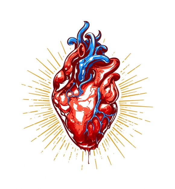 現実的な心臓イラスト 無料のベクター