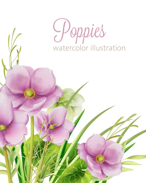 葉と水彩の紫のポピーの花 プレミアムベクター