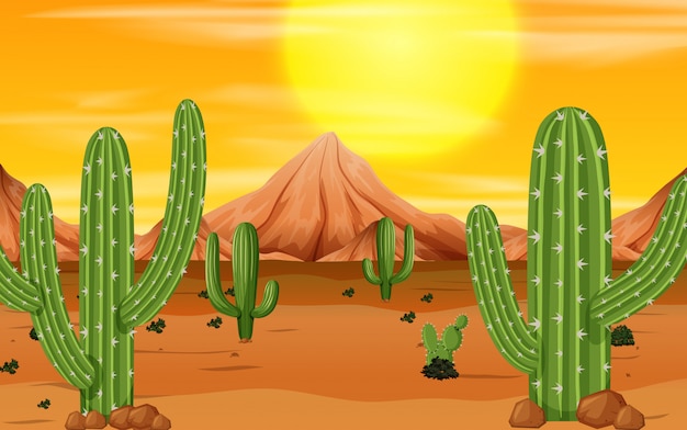 Пустыня картинка для детей на прозрачном фоне