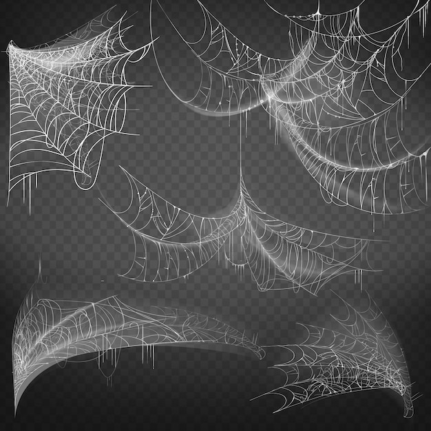 様々な形のスパイダーウェブのイラスト 白いおかしいクモの巣 無料