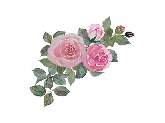 水彩イラストを描く緑の葉とピンクのバラの花束 プレミアムベクター