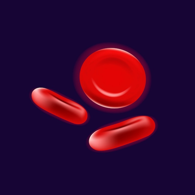 血液細胞のリアルなイラスト プレミアムベクター