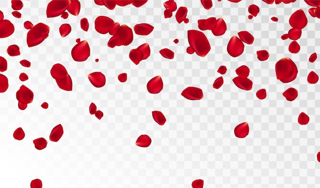 分離された赤いバラの花びらの飛行と抽象的な背景 ベクトルイラスト