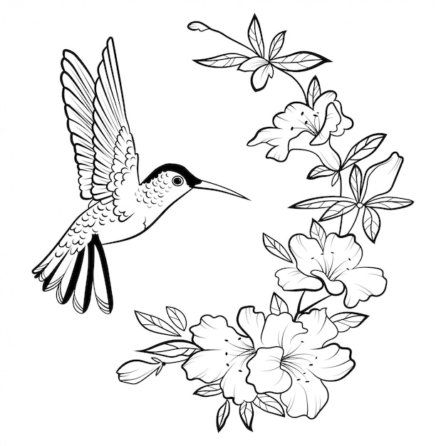 ハチドリのイラスト 様式化された飛ぶ鳥 リニアアート