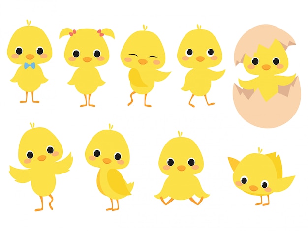 漫画の雛のセットです かわいい黄色のひよこのコレクション 子供のための小さな鶏のイラスト プレミアムベクター