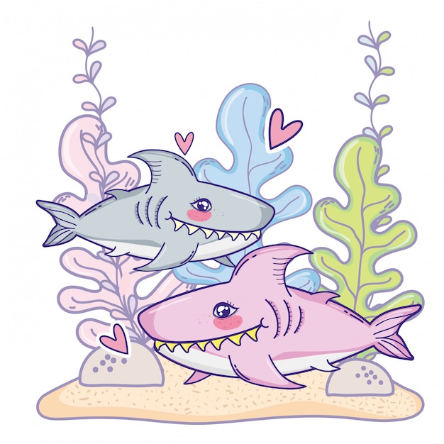 海藻植物とかわいいサメカップル動物 プレミアムベクター