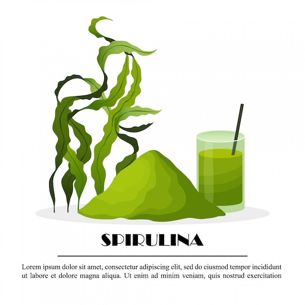 白い背景 イラストに分離された海藻粉末スムージー藻類のスピルリナポスター 健康食品 プレミアムベクター