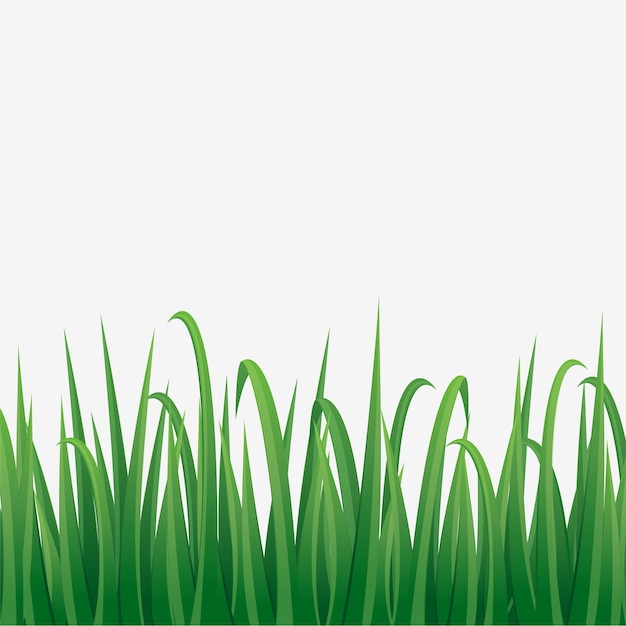 白背景 ベクトルイラストの芝生の束 プレミアムベクター