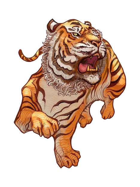 轟く日本の虎の手描きのイラスト 無料のベクター
