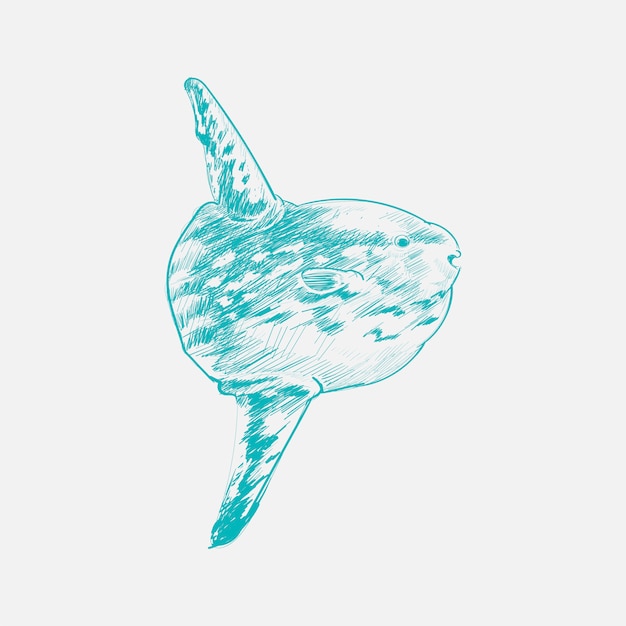 海の魚のイラストの描画スタイル プレミアムベクター