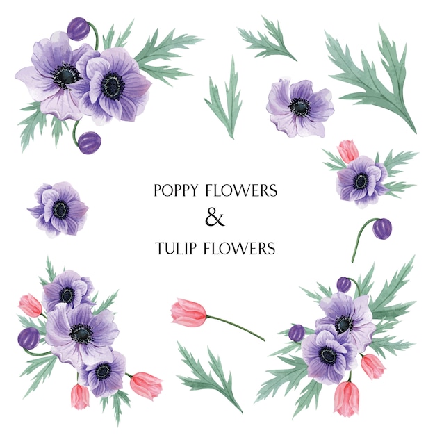 ポピーとチューリップの花の水彩画の花束植物の花のイラスト 無料の