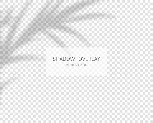 シャドウオーバーレイ効果 自然の影は イラストを分離しました プレミアムベクター