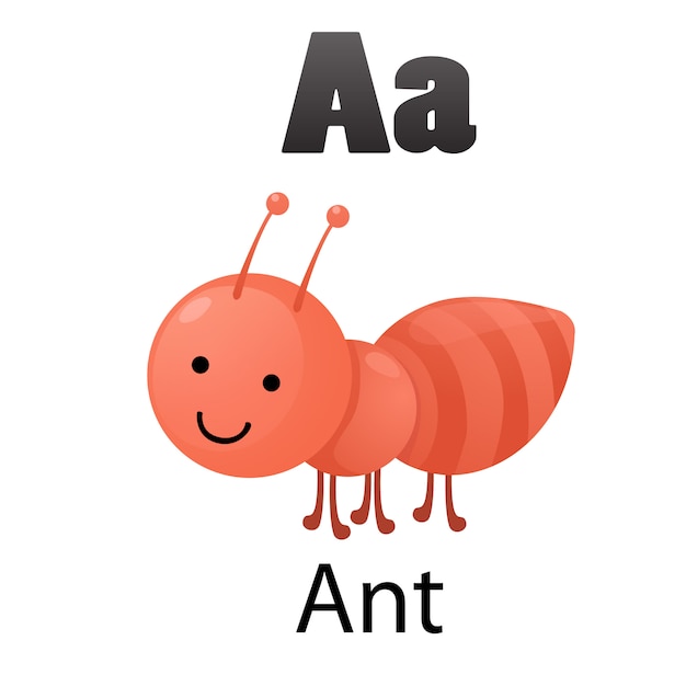 a-ant