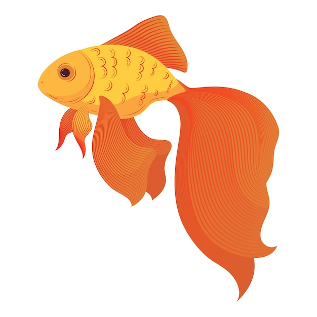 漫画の金魚 様式化された金魚 水族館の魚 イラスト プレミアムベクター