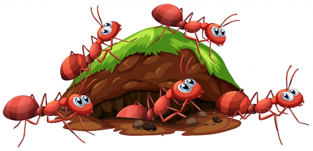 プレミアムベクター 火の赤い蟻と穴