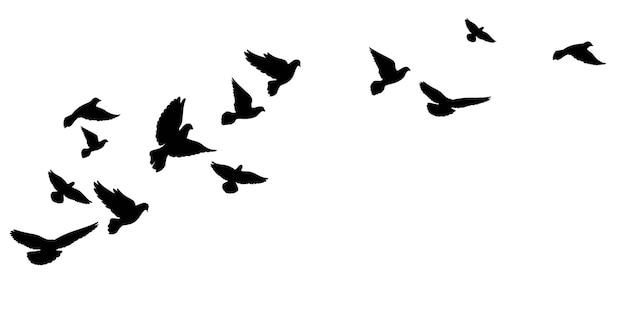 飛んでいる鳥 鳩の群れ 黒のシルエット ベクトルイラスト プレミアムベクター