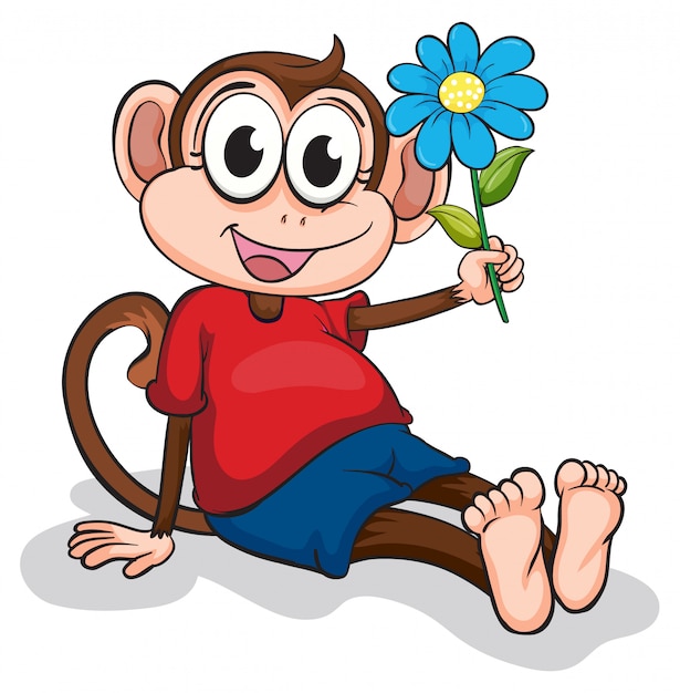 A monkey with a blue flower