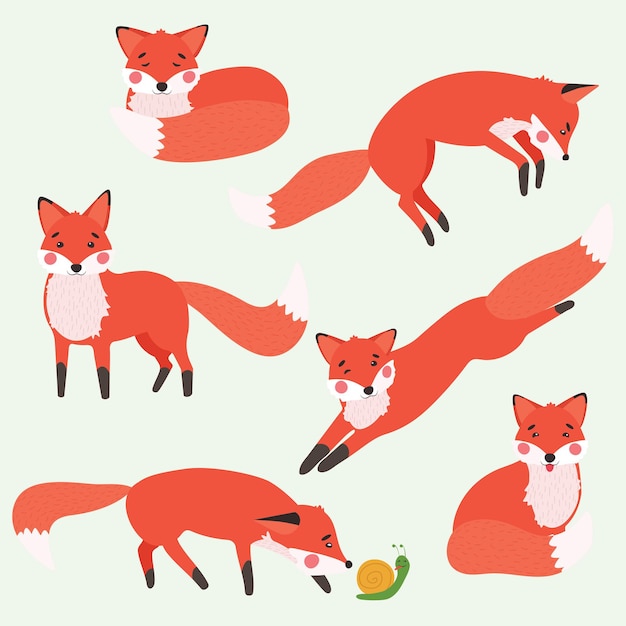 漫画のキツネのセット かわいい赤狐 白い背景で隔離のフラットベクトルイラスト プレミアムベクター