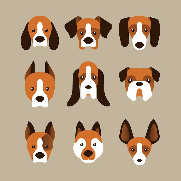 A set of dog face variants in flat style