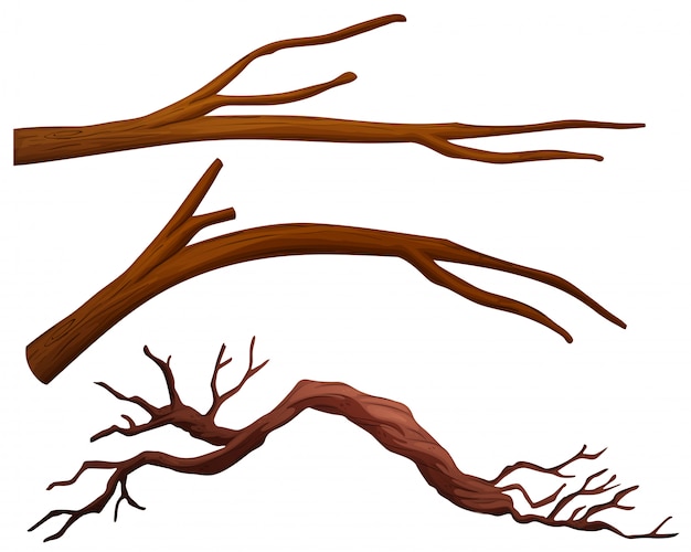 Branch Outline Svg   A Set Of Tree Branch 1308 16156 