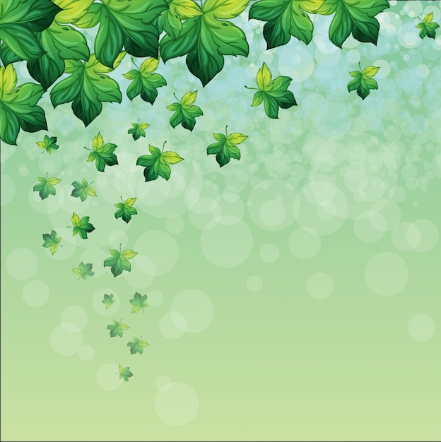 A special paper with green background