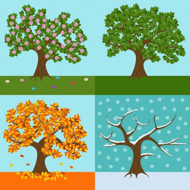 A tree of each season design Vector | Free Download