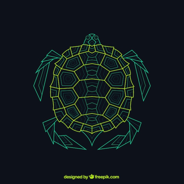 Abstract geometric turtle