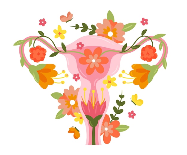 Free Vector | Abstract illustration of female reproductive system